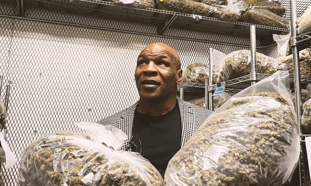 The Dynamic Duo Mike Tyson And Cannabis Coffee Shop Tyson 7174